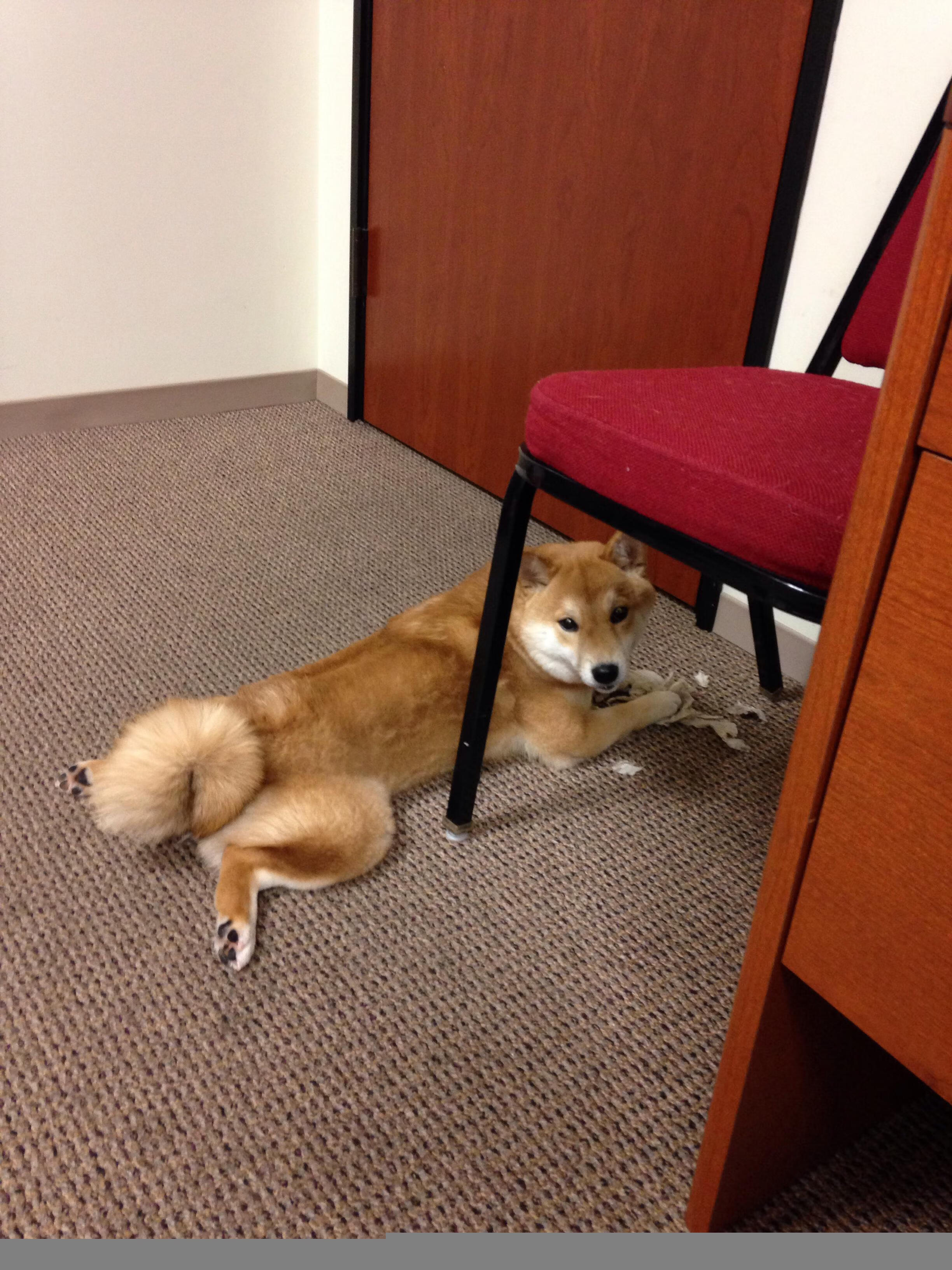 爱游戏app活动-体育场馆绿色节能技术，绿色体育馆的奇特之处