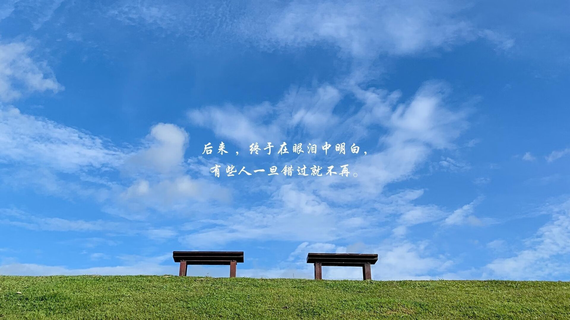 运动员训练数据智能分析,运动员数据表