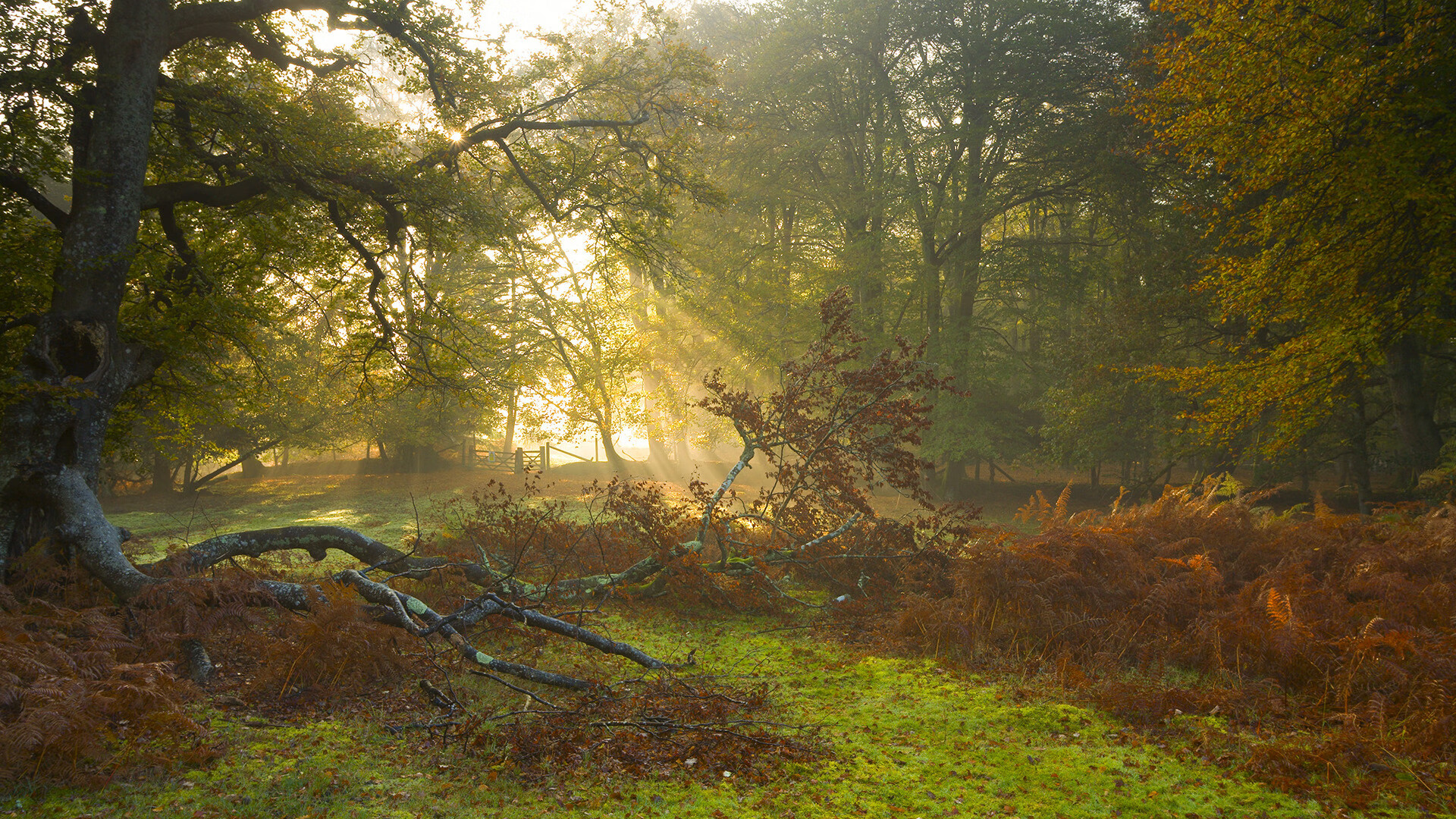 爱游戏app活动-“沙滩手球激战正酣，天府新区迎来激情四溢”