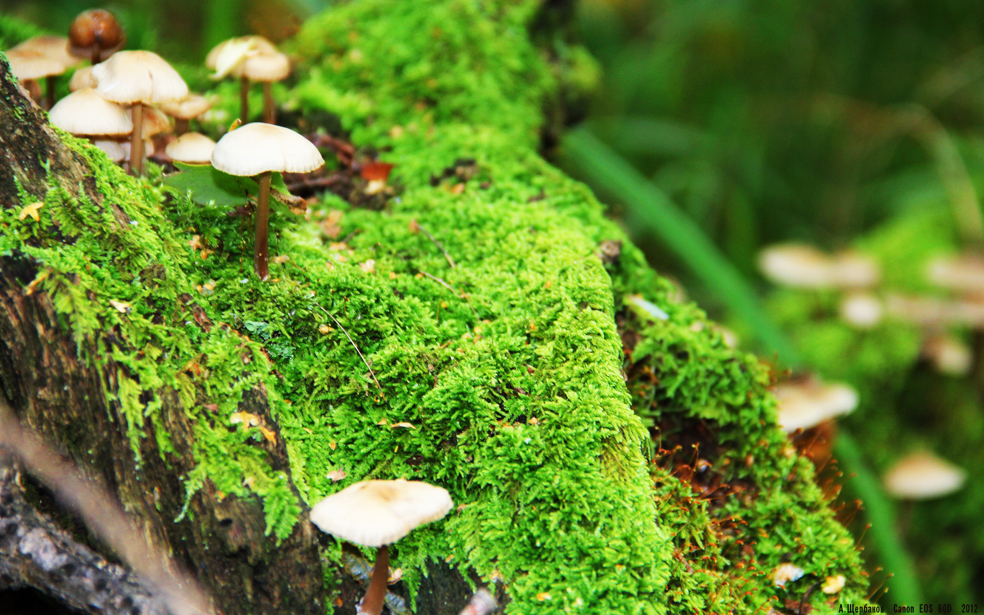 国际热身赛国家队爆冷 技术环节仍需打磨，热身赛赛程安排