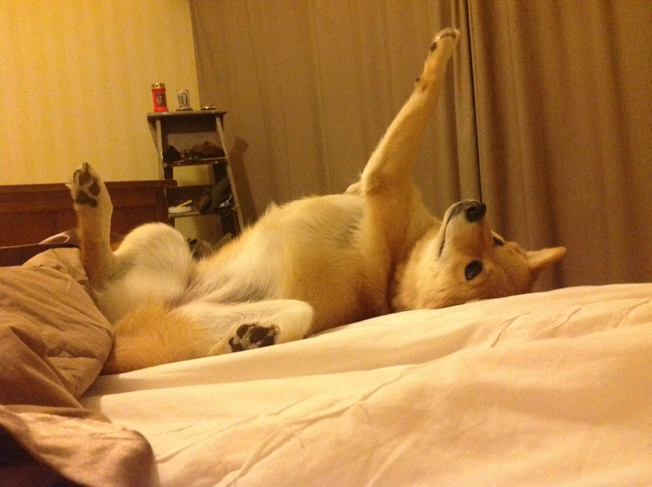 爱游戏入口-职业球员心态调整难点在哪里，球员的状态