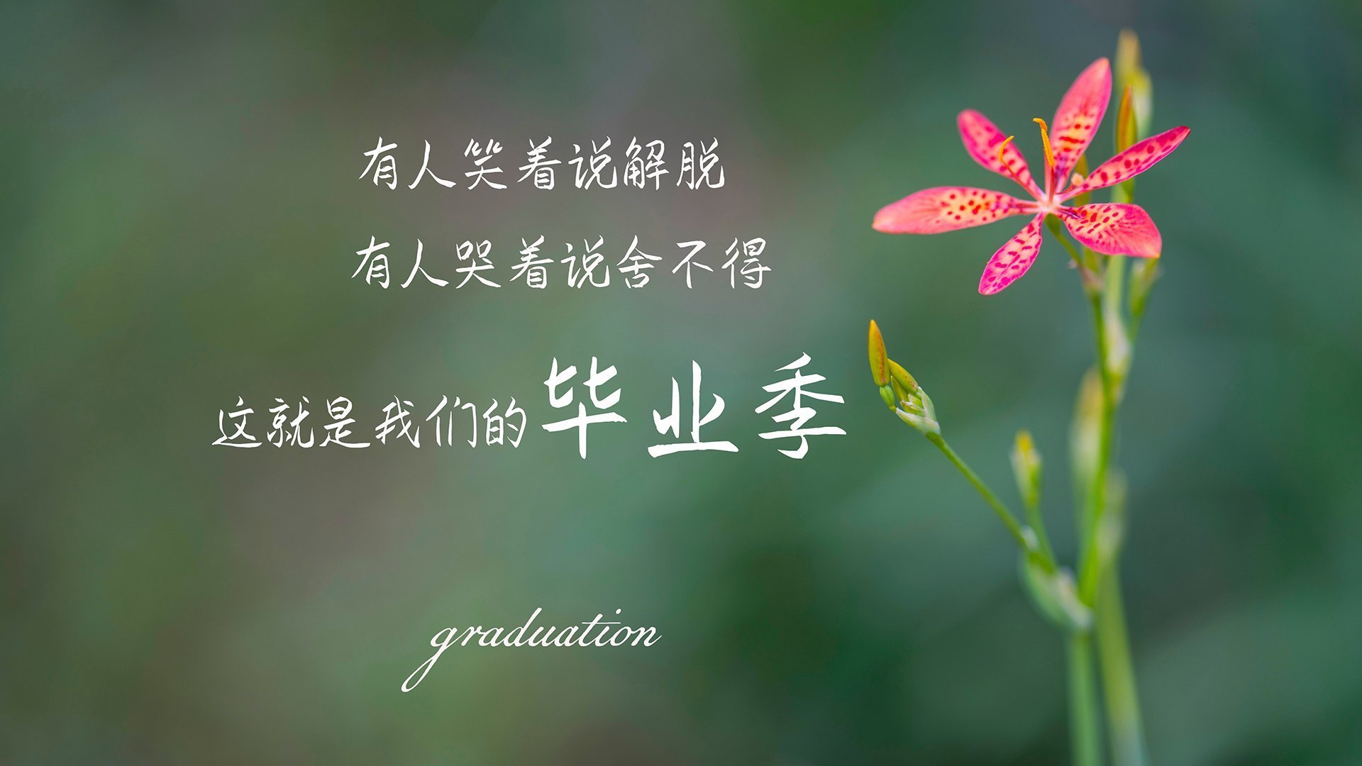 世界杯逆天逆转:奇迹英雄再现!,世界杯瞬间