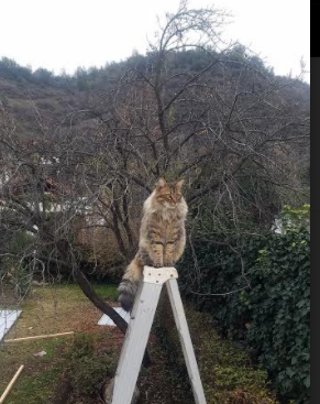 爱游戏app安装-中国足球联赛多渠道宣传推广不断深化，中国足球联赛改革