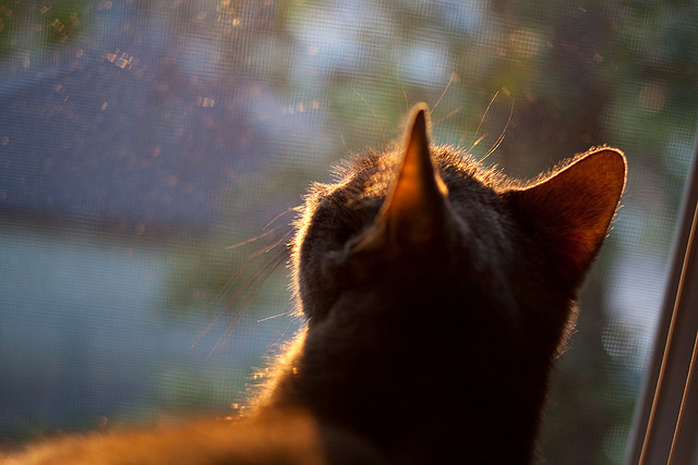乌拉圭男篮在南美锦标赛中持续出色,体育影响不断提升,乌拉圭男篮大名单
