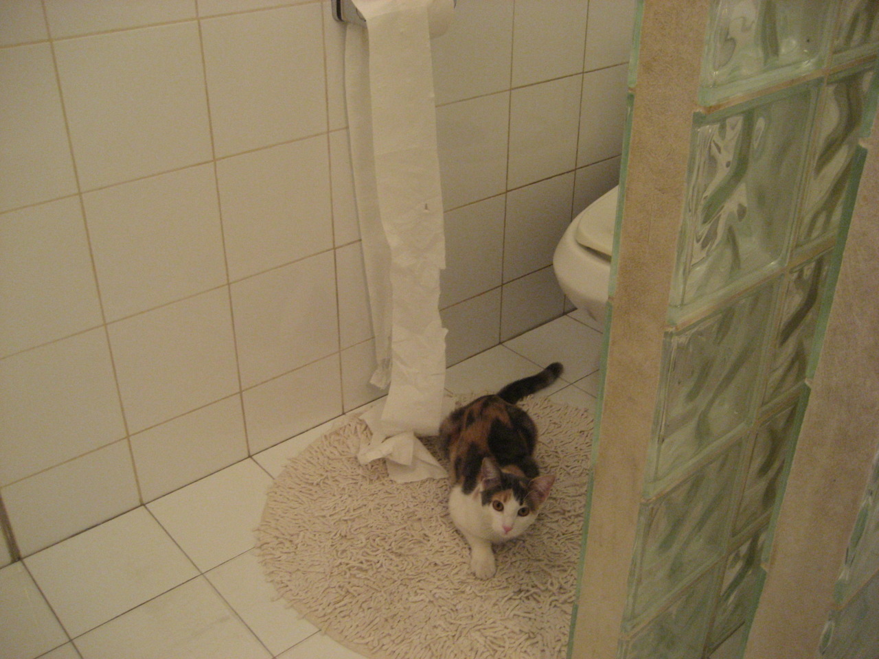 爱游戏app活动-女子篮球联盟引进国际先进战术丰富比赛内容，女子篮球职业联赛