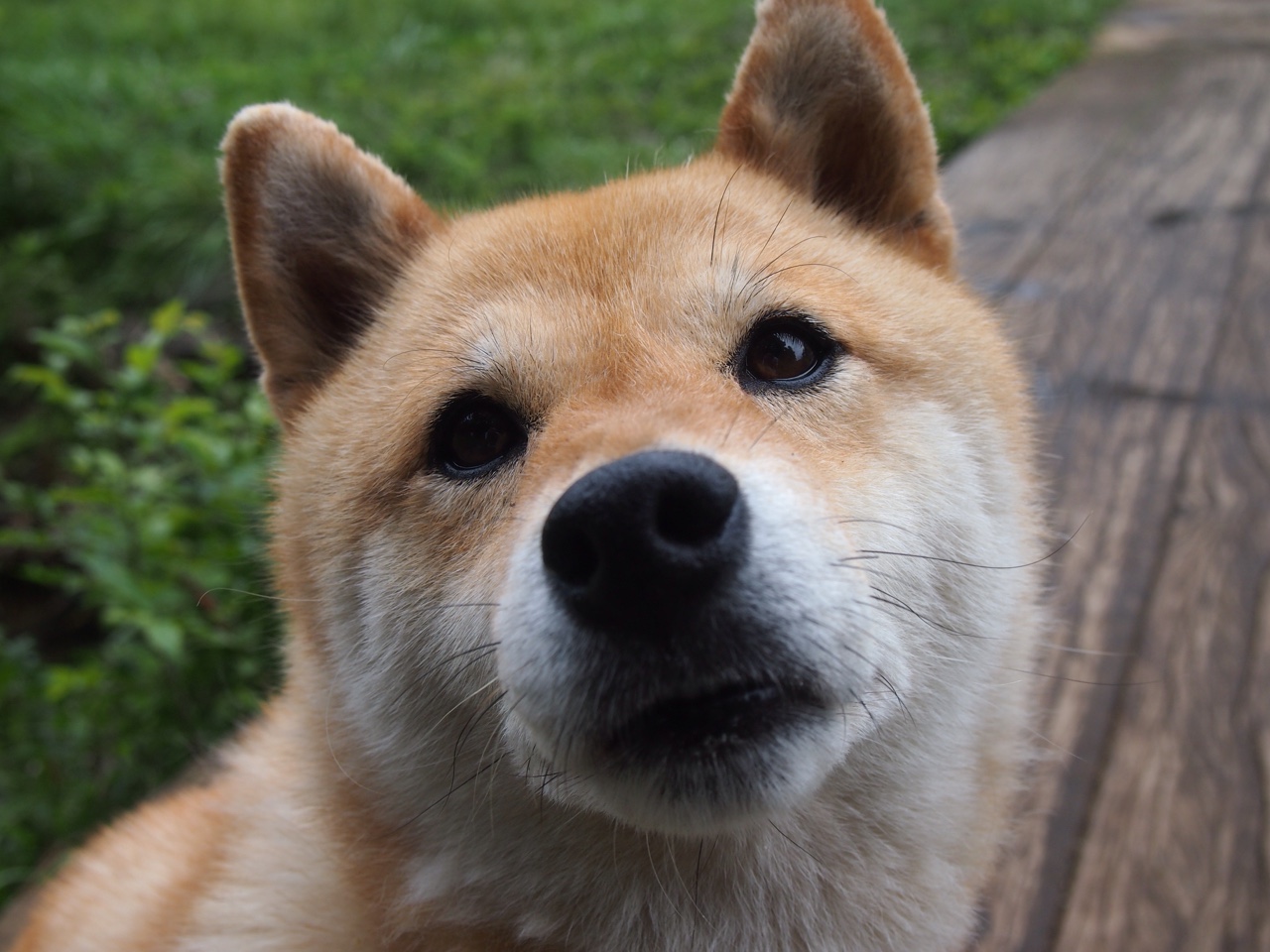 爱游戏app注册-意甲巅峰战：攻防转换中的艺术演出，意甲专区