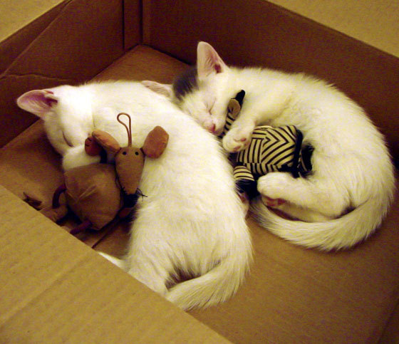 西甲闪耀全场：明星绝技让对手汗颜，西甲十大球星